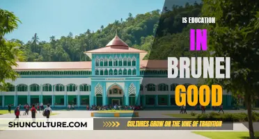 Brunei's Education System: Effective or Not?