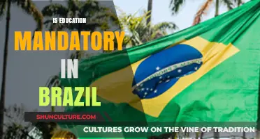 Is Education Mandatory in Brazil? Exploring Legal Requirements and Access