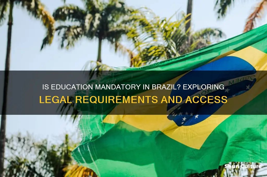is education mandatory in brazil