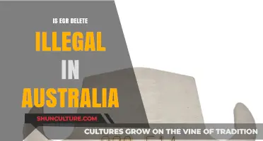 EGR Delete Legality in Australia: What You Need to Know