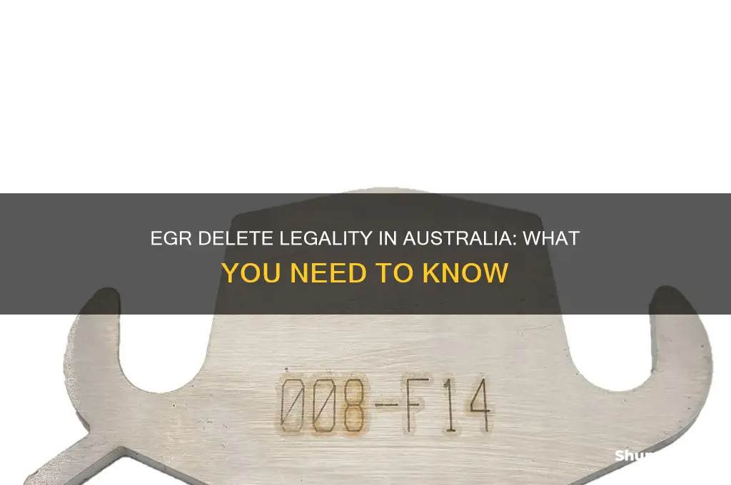 is egr delete illegal in australia