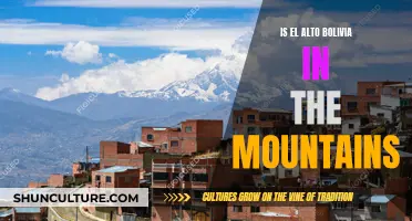 Exploring El Alto: Bolivia's Mountainous City