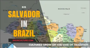 Is El Salvador in Brazil? Unraveling the Geographic Misconception