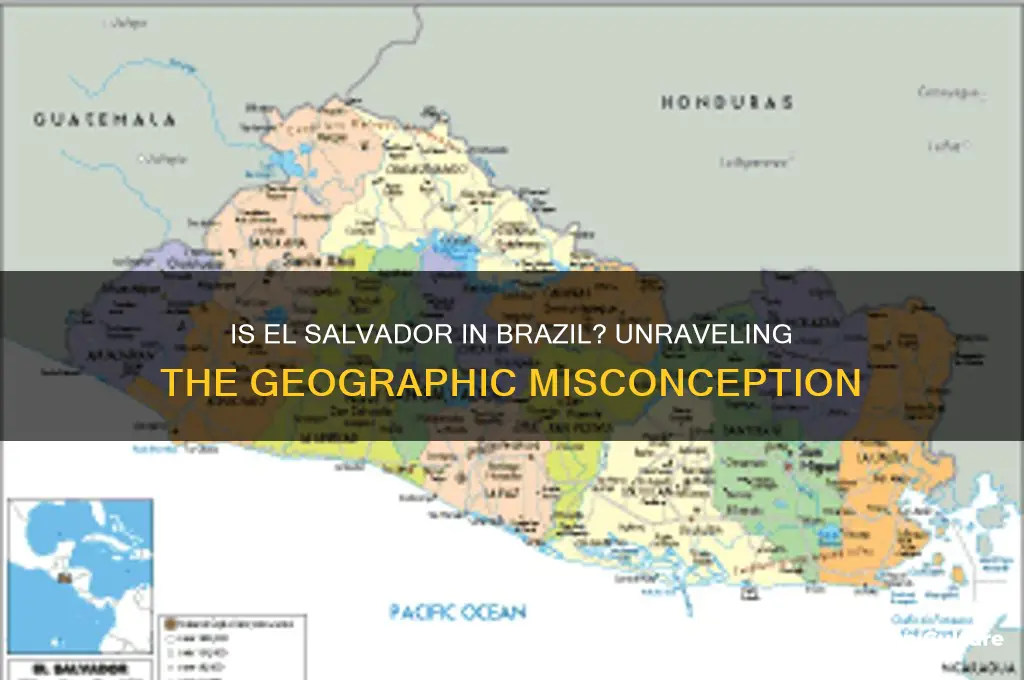 is el salvador in brazil