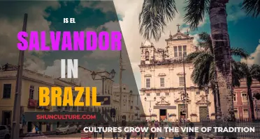 Is El Salvador in Brazil? Unraveling the Geographic Misconception