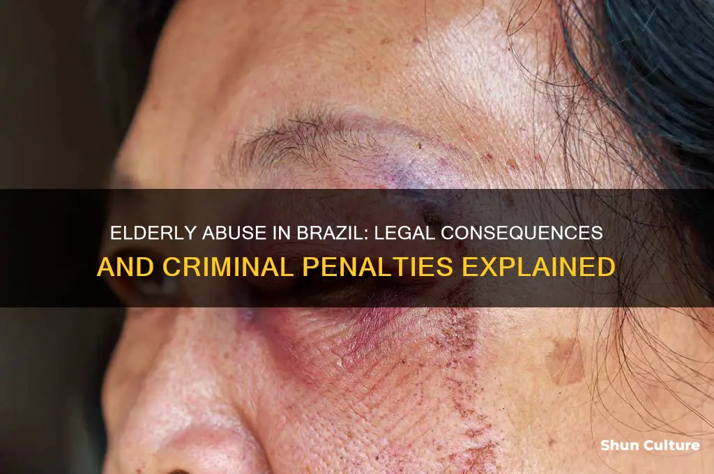 is elderly abuse a crime in brazil