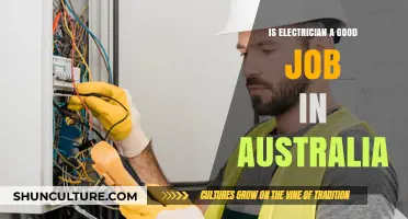 Electricians Down Under: A Rewarding Career Choice?