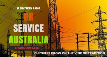Electricity in Australia: Goods, Services, or Both?