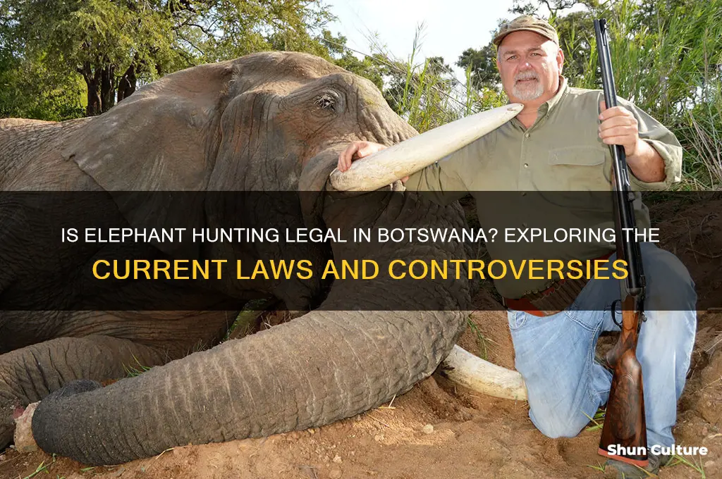 is elephant hunting legal in botswana
