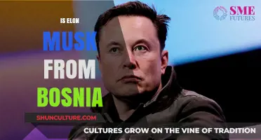 Elon Musk's Origins: Debunking the Bosnia Connection Myth
