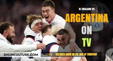 England vs Argentina: Where to Watch the Match Live on TV