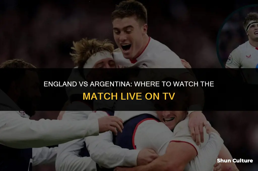 is england vs argentina on tv