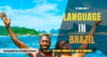 Is English Spoken in Brazil? Exploring Language Use and Trends