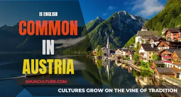 English in Austria: How Common Is It?