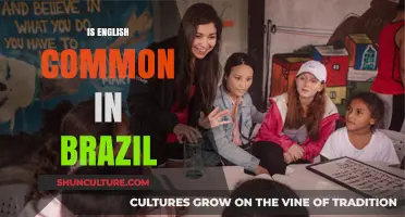 Is English Widely Spoken in Brazil? Exploring Language Trends and Usage