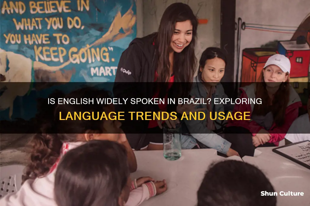 is english common in brazil