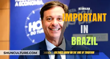 Is English Essential in Brazil? Exploring Language Importance and Impact