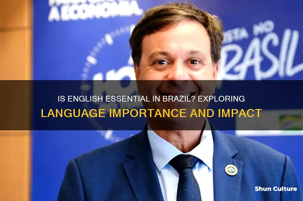 is english important in brazil