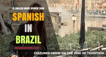 English vs. Spanish: Which Language Dominates Brazil's Communication?