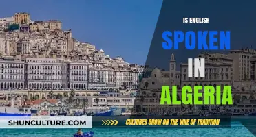 Is English Spoken in Algeria? Language Dynamics and Cultural Insights