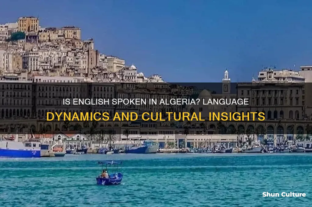 is english spoken in algeria