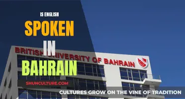 English in Bahrain: Is It Widely Spoken?