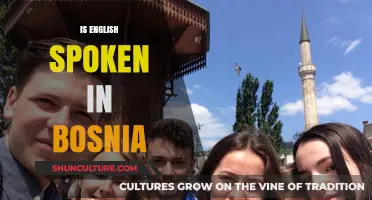Is English Widely Spoken in Bosnia? Language Insights for Travelers
