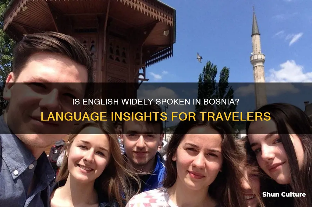 is english spoken in bosnia