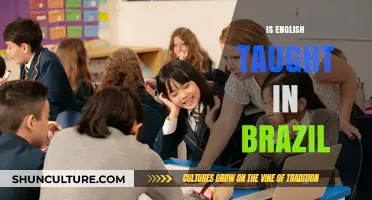 Is English Taught in Brazil? Exploring Language Education in Brazilian Schools