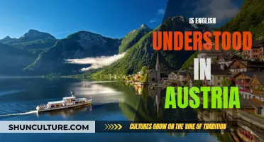 English in Austria: Is It Understood?