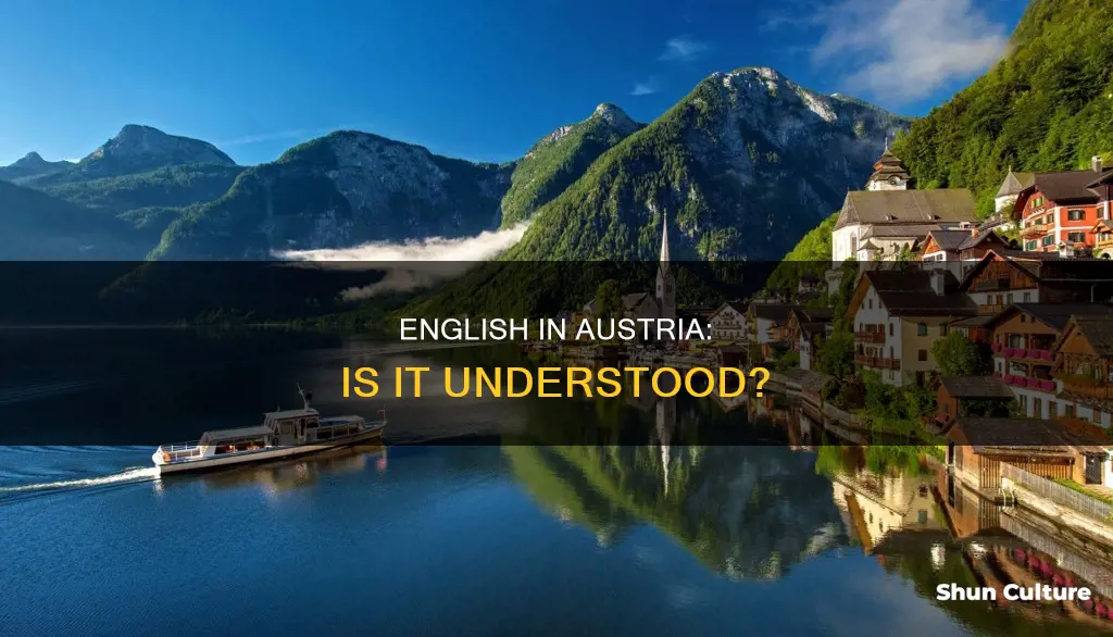 is english understood in austria