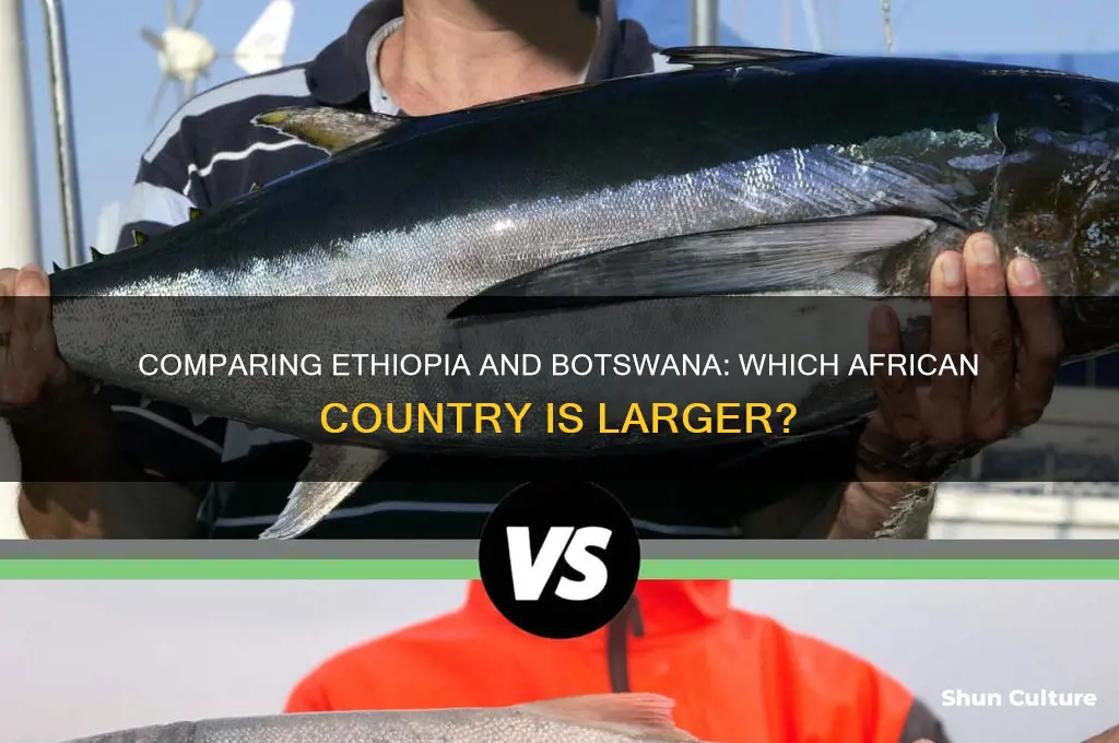 is ethiopia bigger than botswana