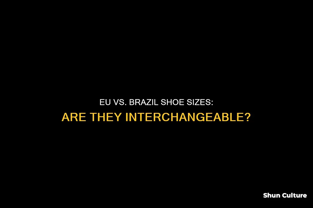 is eu shoe size the same as brazil