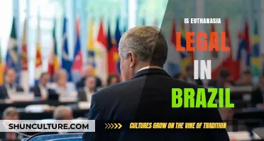 Is Euthanasia Legal in Brazil? Exploring the Current Legal Landscape