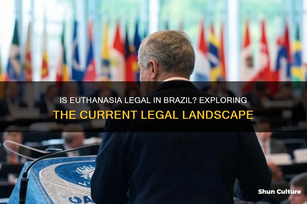 is euthanasia legal in brazil