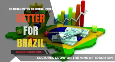 Brazil's Economic Strategy: Externalization vs. Internalization – Which Path to Choose?