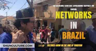 Brazil's Social Networks: Rapid Spread of Extreme Content?