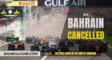 F1 Bahrain: Cancelled or Continued?