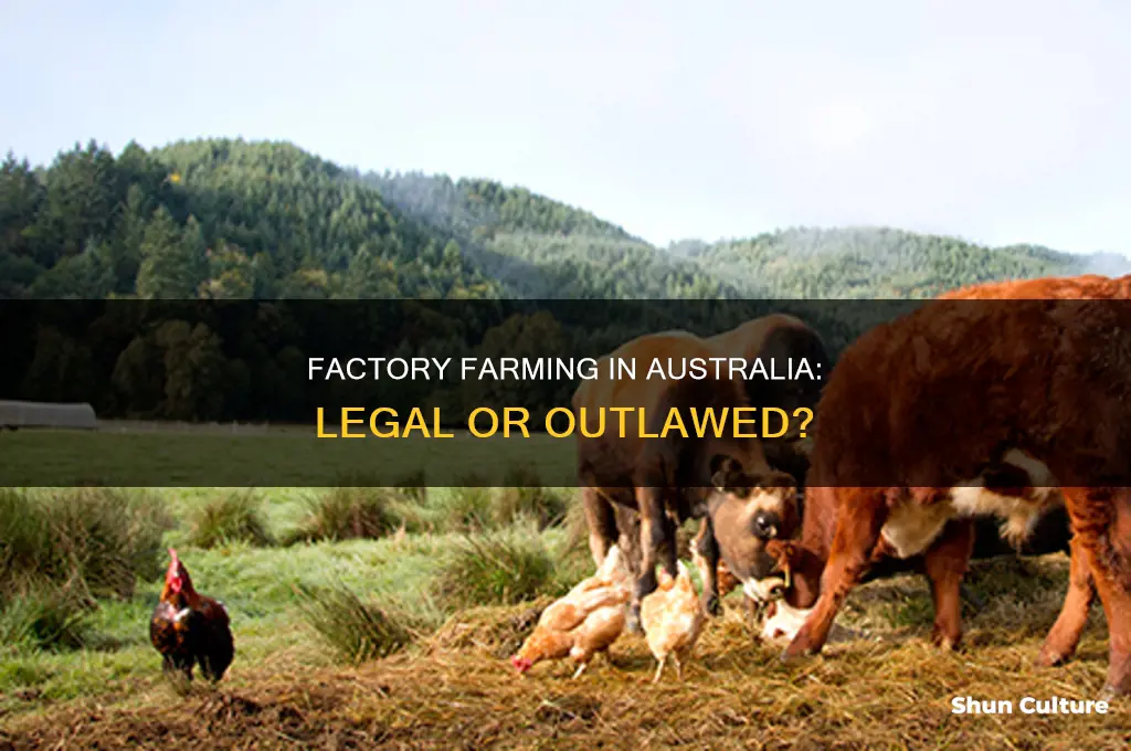 is factory farming illegal in australia
