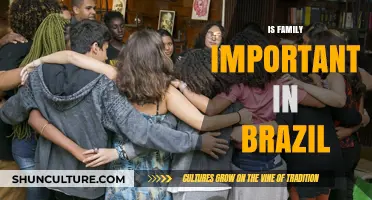 Family Bonds in Brazil: Exploring Their Cultural Significance and Impact