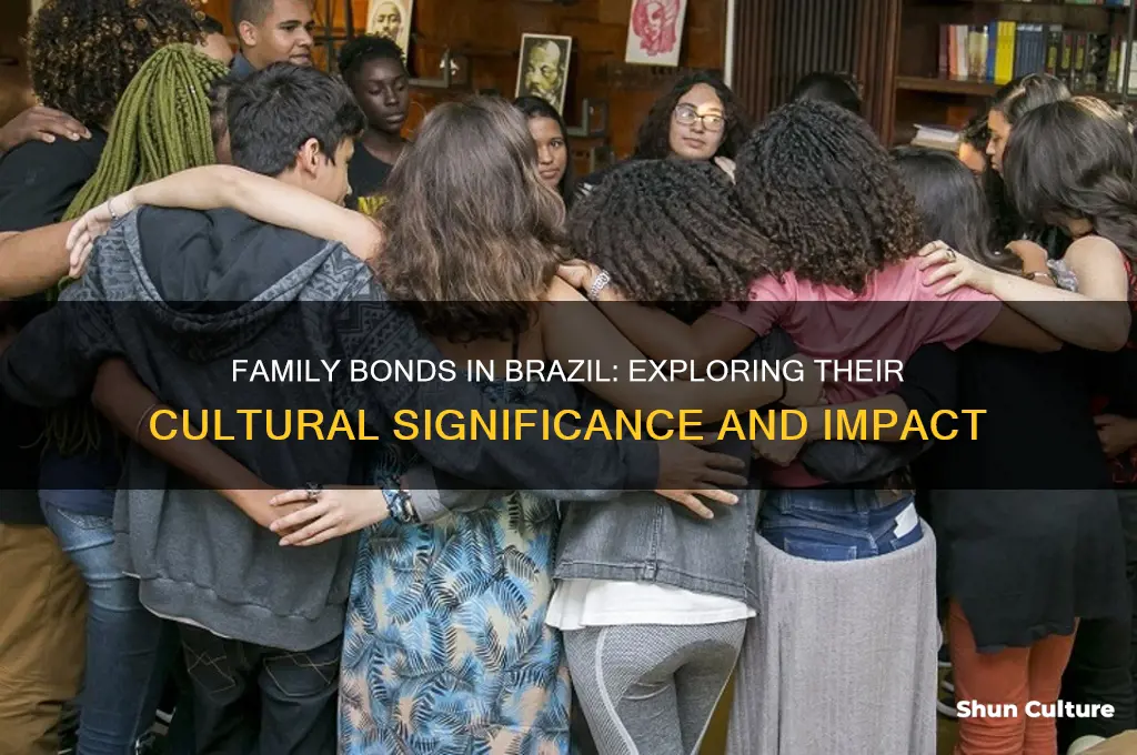 is family important in brazil