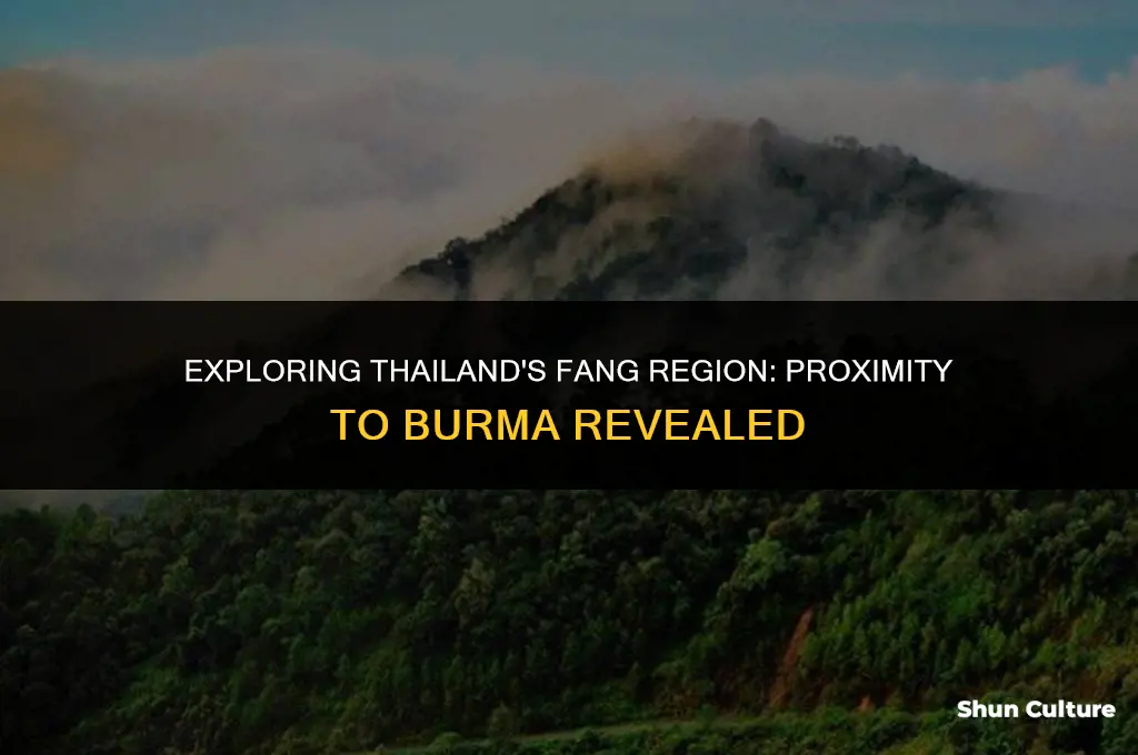 is fang thailand near burma