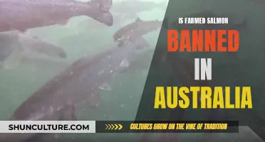Salmon Farming: Australia's Ban Explored