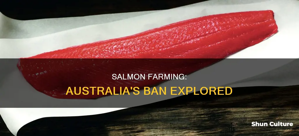 is farmed salmon banned in australia