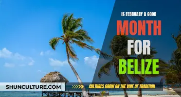 The Perfect Time to Visit Belize: Why February Should Be on Your Radar