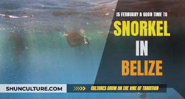 Belize in February: A Snorkeler's Paradise