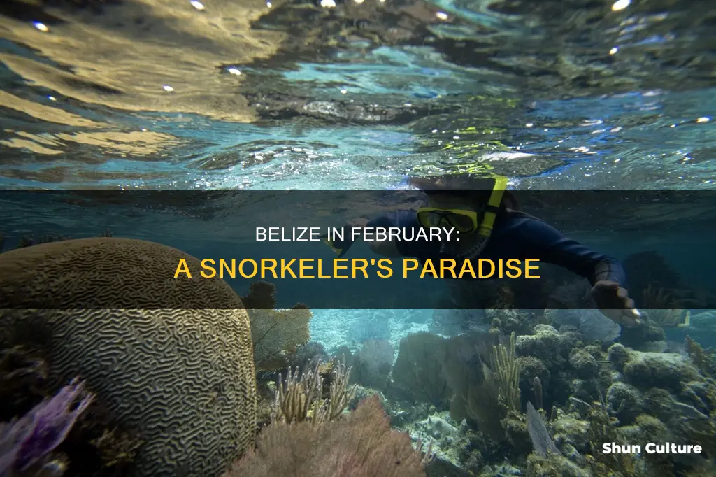 is february a good time to snorkel in belize