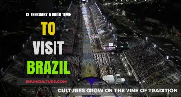February in Brazil: Ideal Weather, Carnival Vibes, or Tourist Crowds?