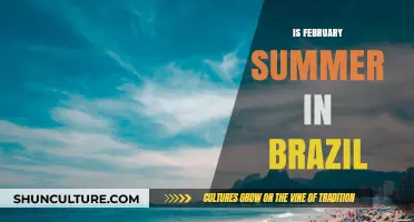 Is February Summer in Brazil? Exploring Seasons in the Tropics
