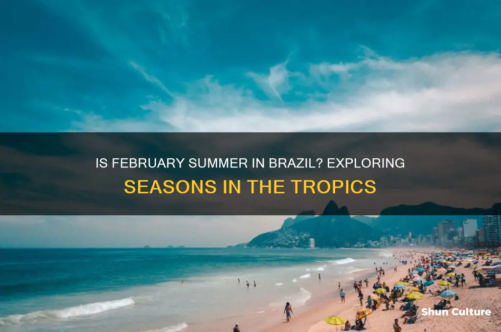 is february summer in brazil